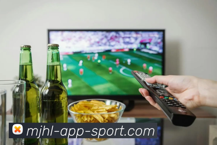 麻将胡了服务体系